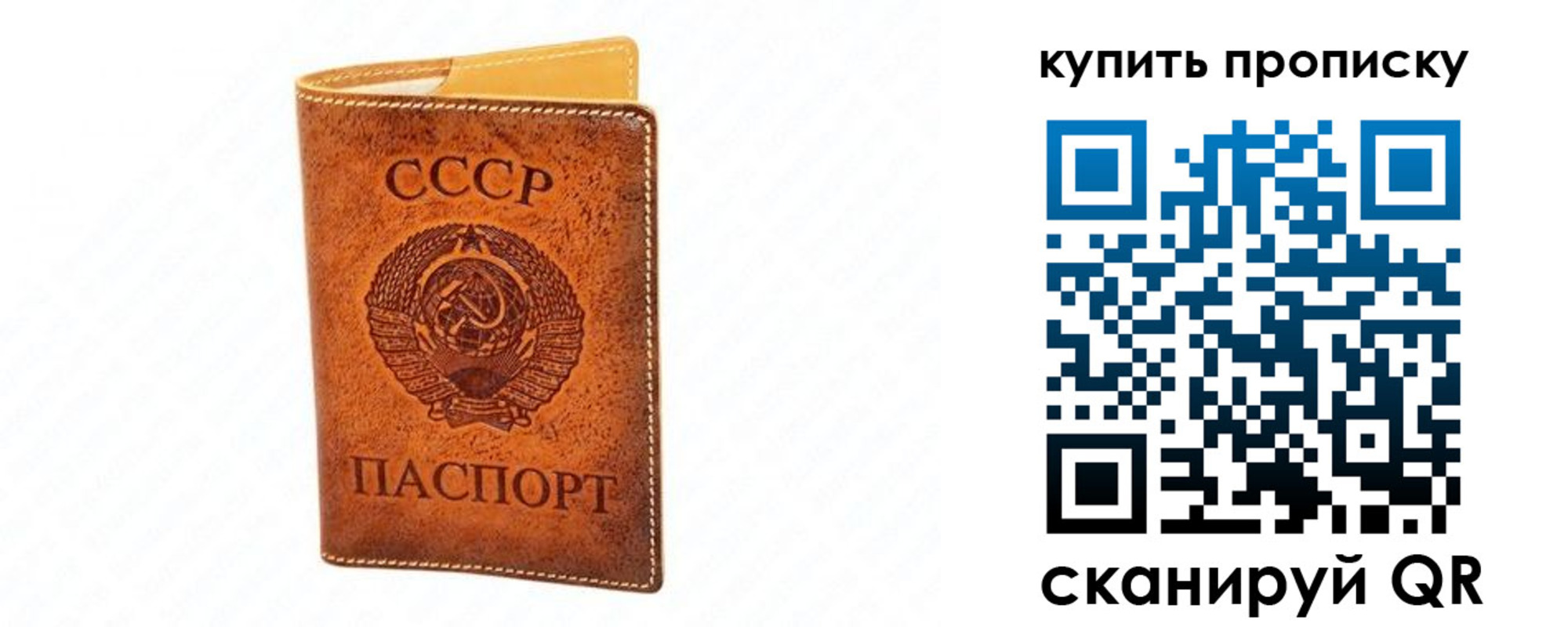 прописка поиск в Белгородской области
