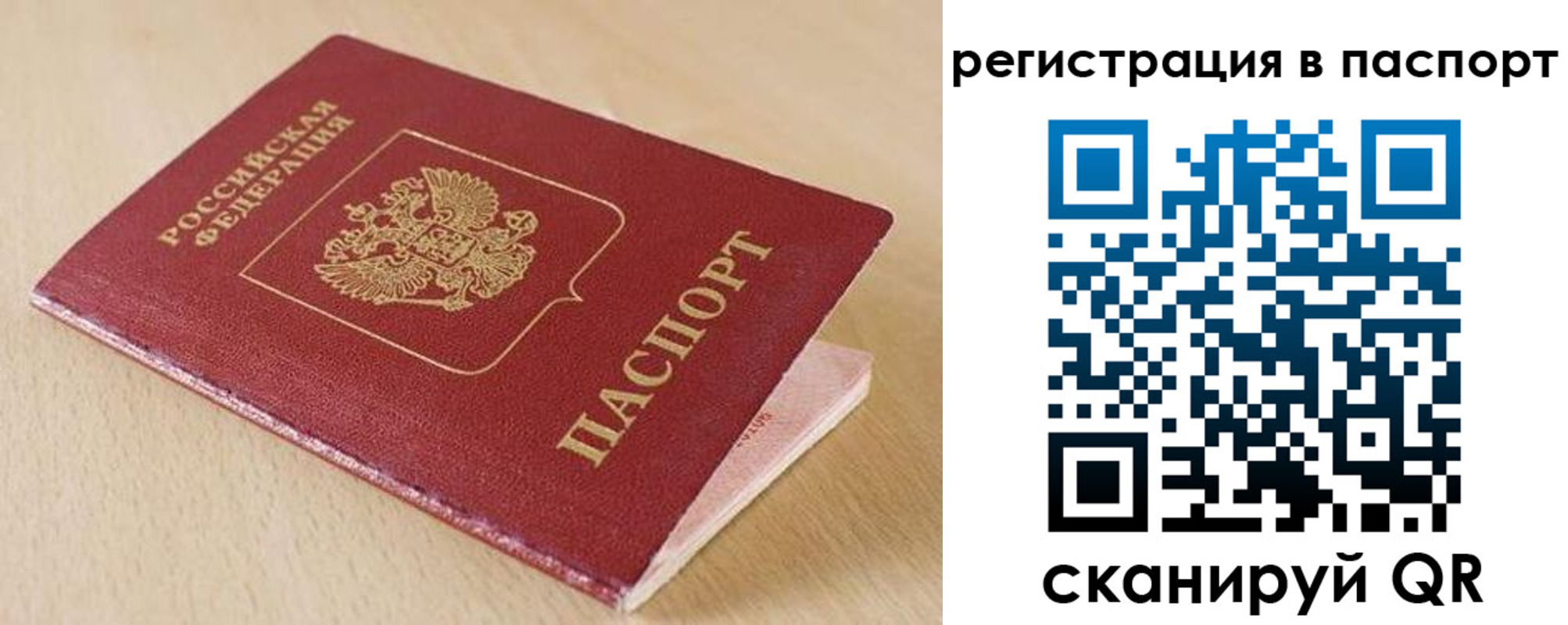 прописка поиск в Белгородской области