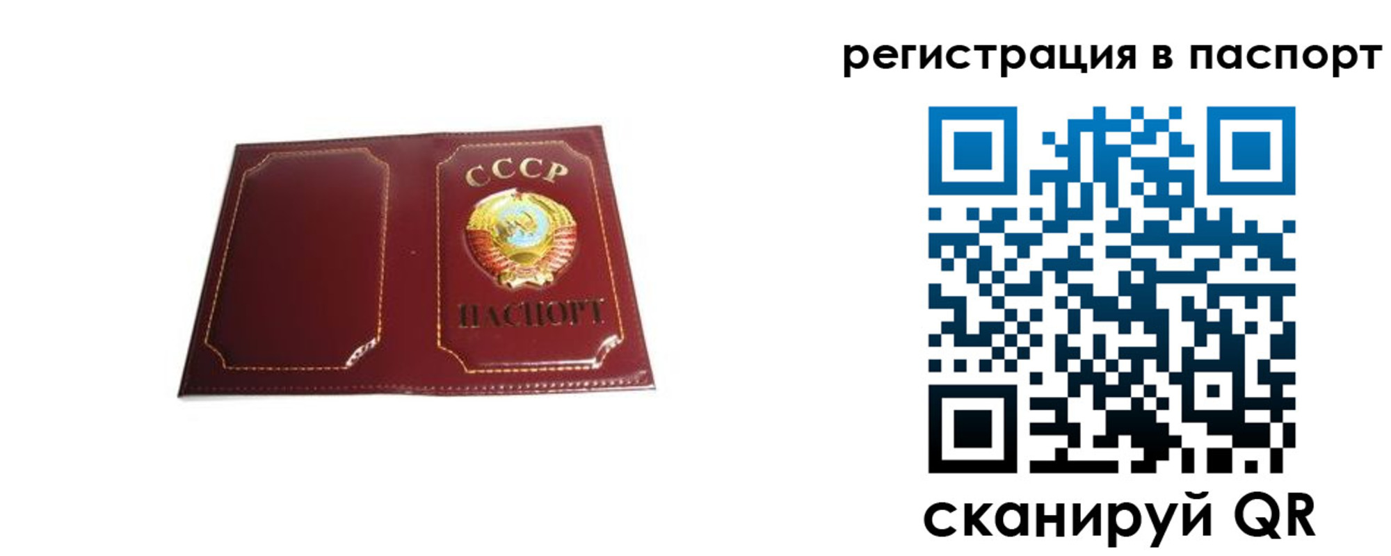 прописка 2025 в Белгородской области